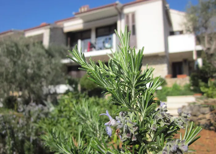 Apartments Palma & Pino